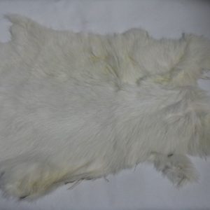 Rabbit Whole Skin-Solid Colors